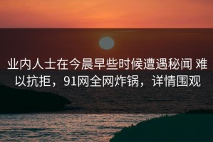 业内人士在今晨早些时候遭遇秘闻 难以抗拒，91网全网炸锅，详情围观