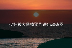 少妇被大黑捧猛烈进出动态图