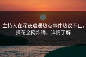 主持人在深夜遭遇热点事件热议不止，探花全网炸锅，详情了解
