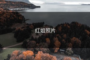 红姐照片