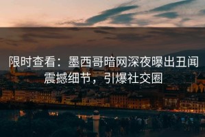 限时查看：墨西哥暗网深夜曝出丑闻震撼细节，引爆社交圈