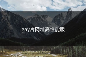 gay片网址高性能版