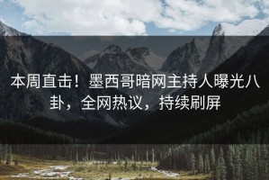 本周直击！墨西哥暗网主持人曝光八卦，全网热议，持续刷屏