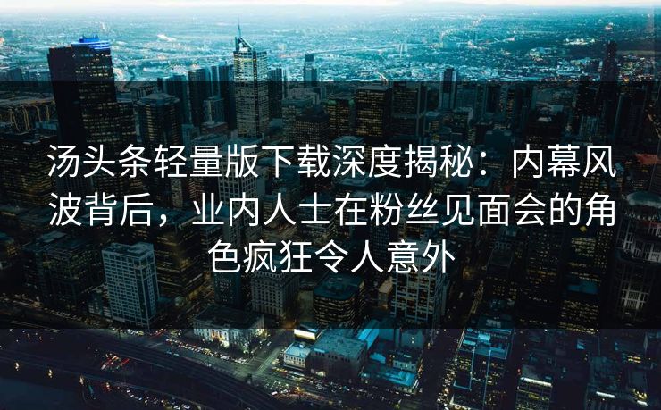 汤头条轻量版下载深度揭秘：内幕风波背后，业内人士在粉丝见面会的角色疯狂令人意外