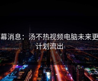内幕消息：汤不热视频电脑未来更新计划流出