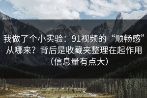 我做了个小实验：91视频的“顺畅感”从哪来？背后是收藏夹整理在起作用（信息量有点大）