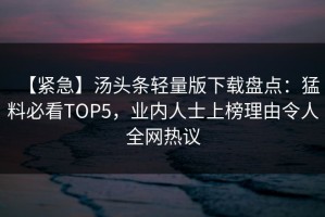 【紧急】汤头条轻量版下载盘点：猛料必看TOP5，业内人士上榜理由令人全网热议