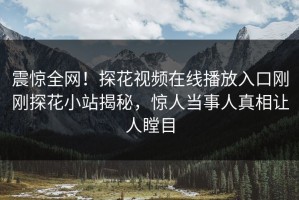 震惊全网！探花视频在线播放入口刚刚探花小站揭秘，惊人当事人真相让人瞠目