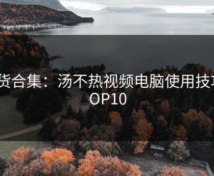 干货合集：汤不热视频电脑使用技巧TOP10