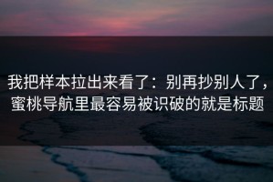 我把样本拉出来看了：别再抄别人了，蜜桃导航里最容易被识破的就是标题