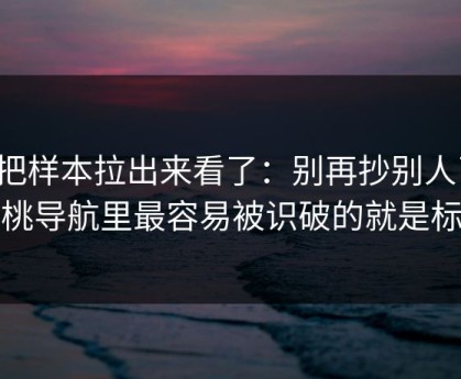 我把样本拉出来看了：别再抄别人了，蜜桃导航里最容易被识破的就是标题