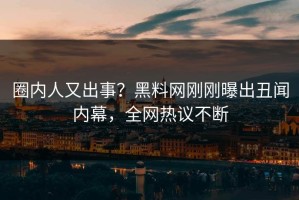 圈内人又出事？黑料网刚刚曝出丑闻内幕，全网热议不断