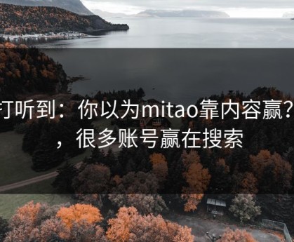 刚打听到：你以为mitao靠内容赢？不，很多账号赢在搜索