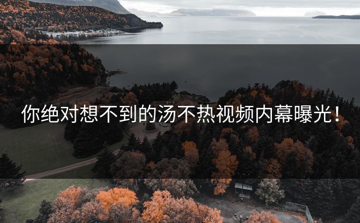 你绝对想不到的汤不热视频内幕曝光！