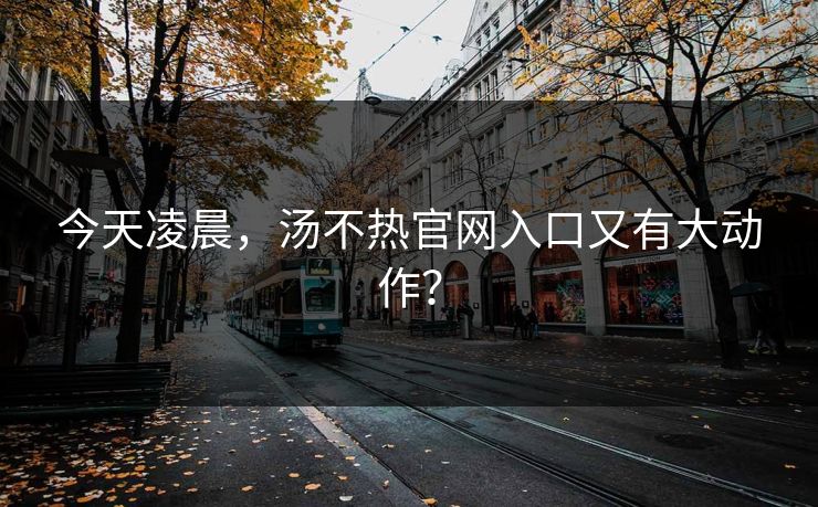 今天凌晨，汤不热官网入口又有大动作？