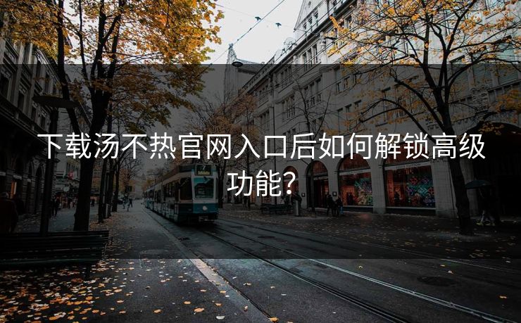 下载汤不热官网入口后如何解锁高级功能？
