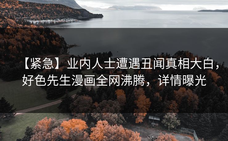 【紧急】业内人士遭遇丑闻真相大白，好色先生漫画全网沸腾，详情曝光