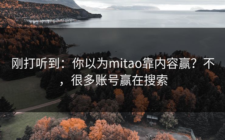 刚打听到：你以为mitao靠内容赢？不，很多账号赢在搜索